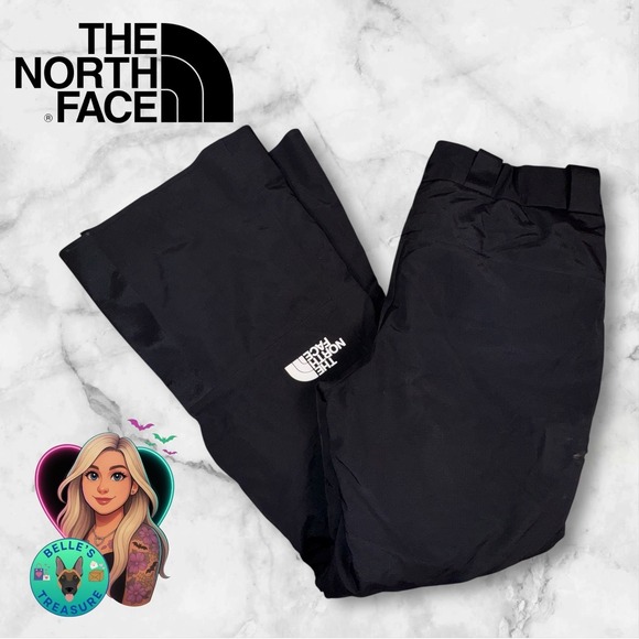 The North Face Snow Pants Womens Small Futurelight Ski‎ Snowboard Ripstop $600